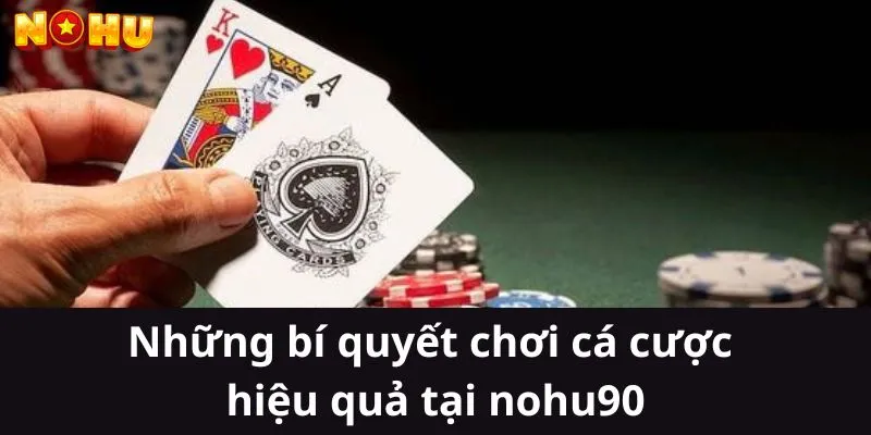 Những bí quyết chơi cá cược hiệu quả tại nohu90